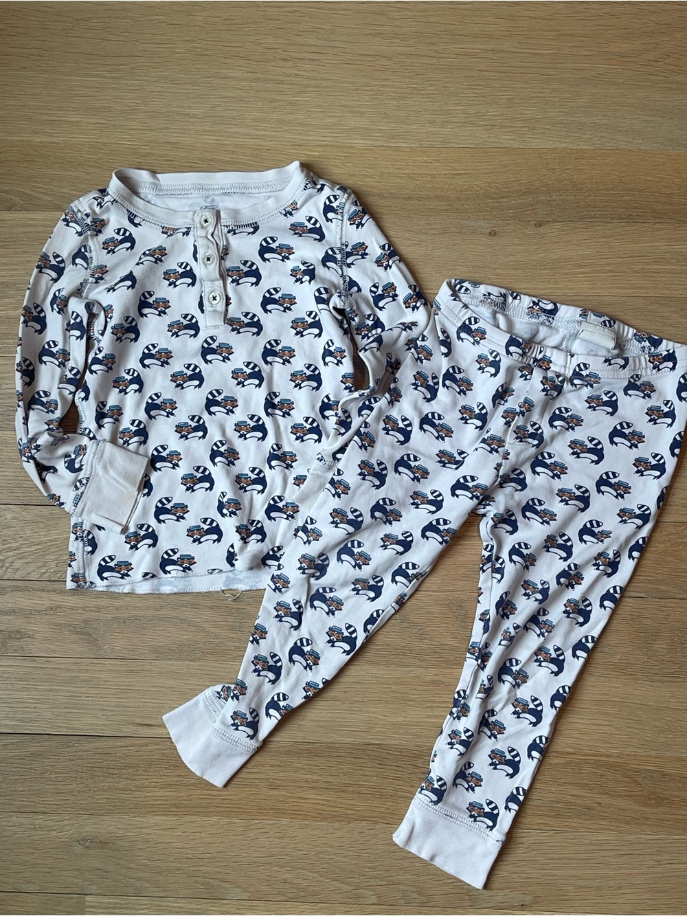Roller Rabbit Racoon PJ Set Size 2T